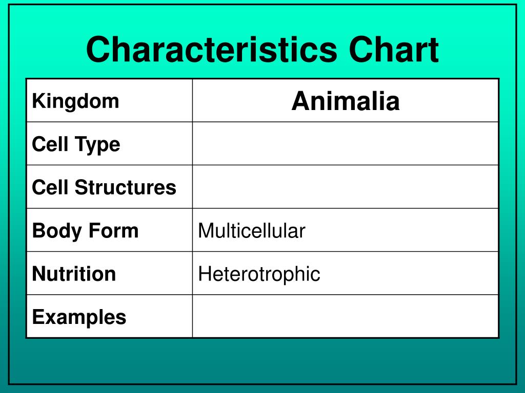 Kingdom Animalia Characteristics Chart
