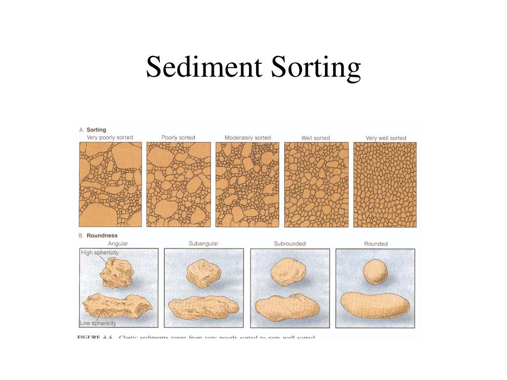 PPT Lecture 3 Geologic Time Sediments And Sedimentary Rocks PPT Lecture 3 Geologic Time Sediments And Sedimentary Rocks
