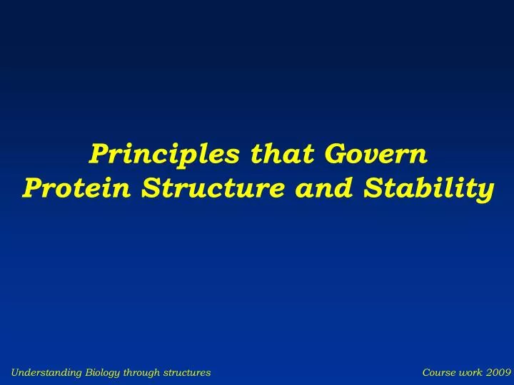 principles that govern protein structure and stability n.