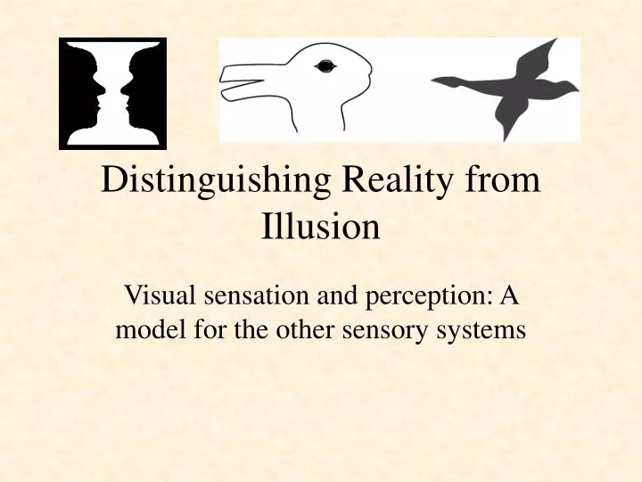 distinguishing reality from illusion n.