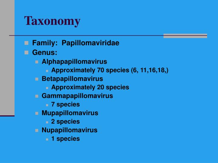 Human papillomavirus family, - Papillomavirus family