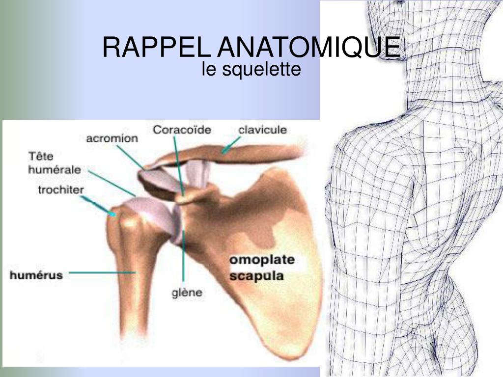 Bande plâtrée - Creastore