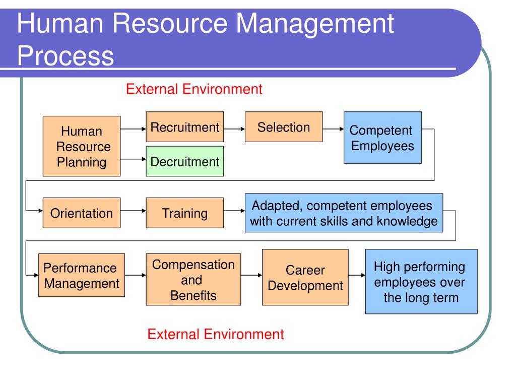 Current planning. Human resource Management process. Human resources process. HRM (Human resource Management). HRM (Human resource Management) фото интерфейса.
