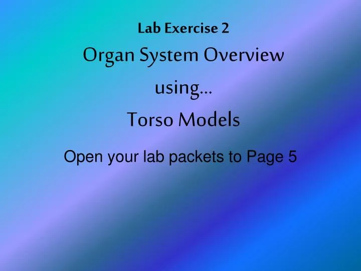 Lab Exercise 2 Organ System Overview usingโฆ Torso Models ... Biology Diagrams