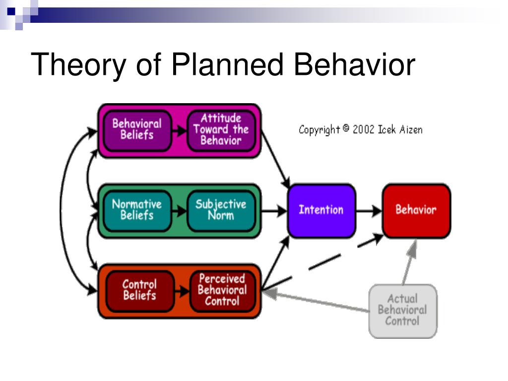 theory of planned behavior literature review