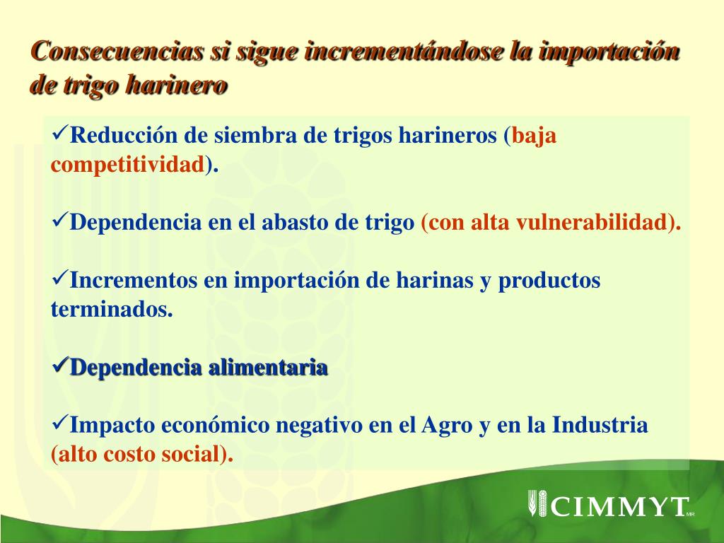 PPT - Producción, consumo, usos y la calidad de la cosecha del trigo en ...