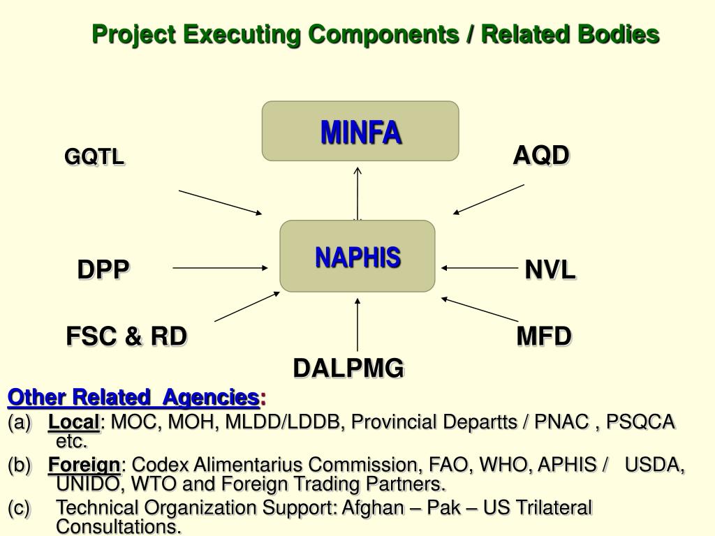 Project execution Project execution