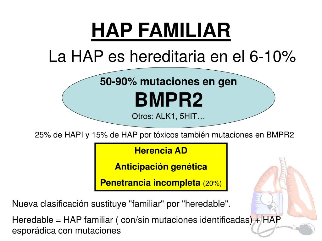 2. En pacientes con HTA de grado 1 es fundamental establecer un diagnóstico preciso.