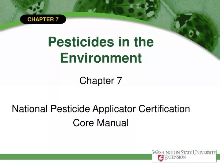 pesticides in the environment n.