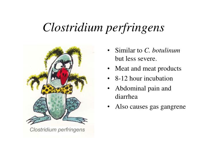 PPT - The 12 “Most Unwanted” Bacteria PowerPoint Presentation - ID:558543