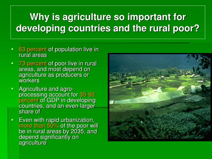 whi is ag important Why are cooperatives important in agriculture an organizational economics perspective - volume 3 issue 1 - vladislav valentinov. whi is ag important Why are cooperatives important in agriculture an organizational economics perspective - volume 3 issue 1 - vladislav valentinov.