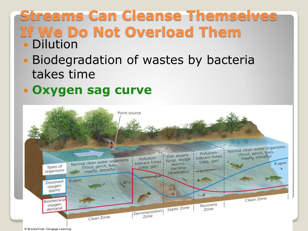 What are the causes of WWTP overloading - Netsol Water