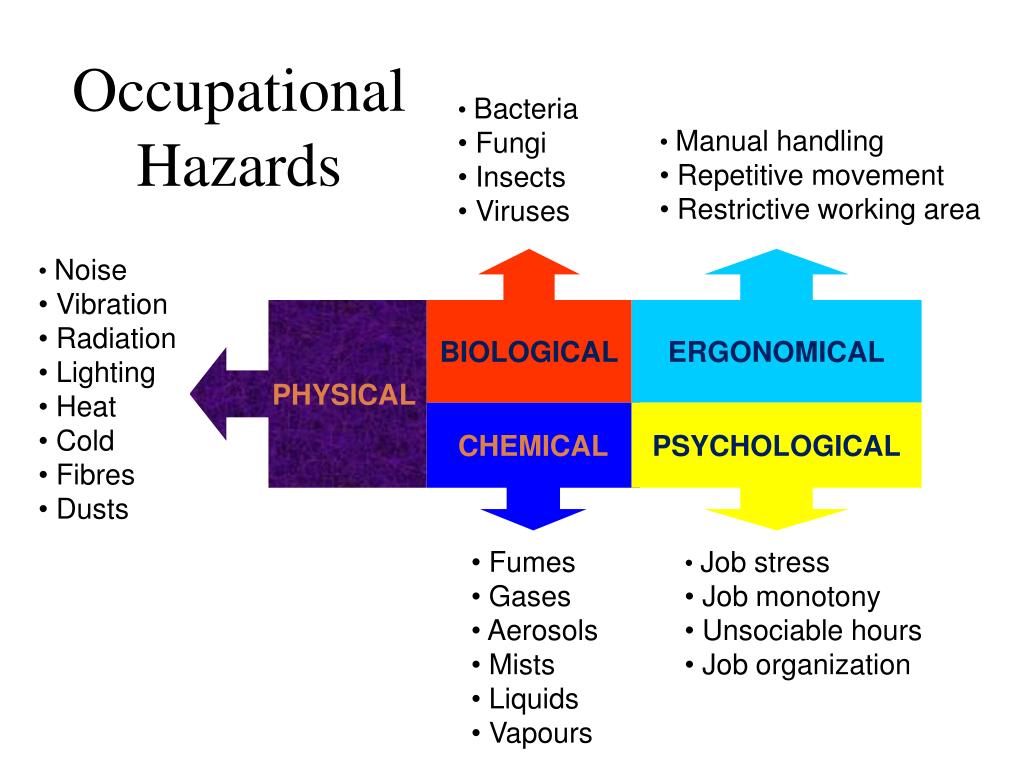 What Are The Different Hazards In The Workplace At Basil Rickard Blog