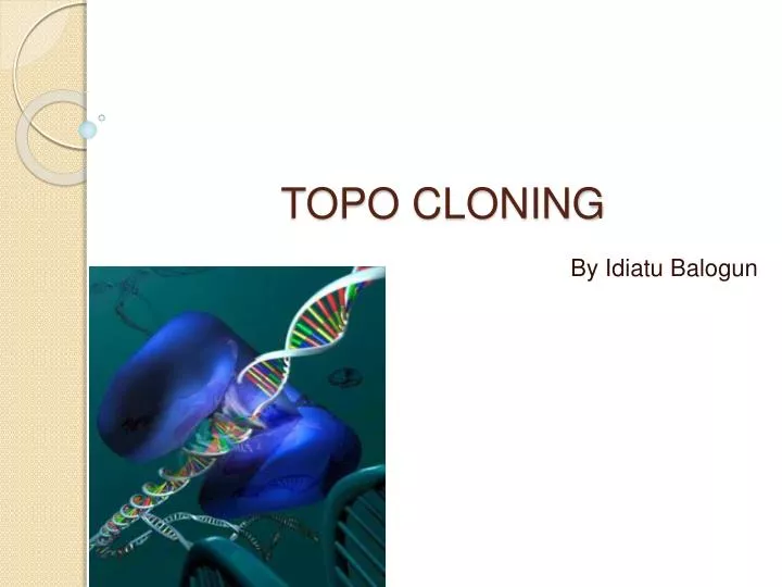 topo cloning n.