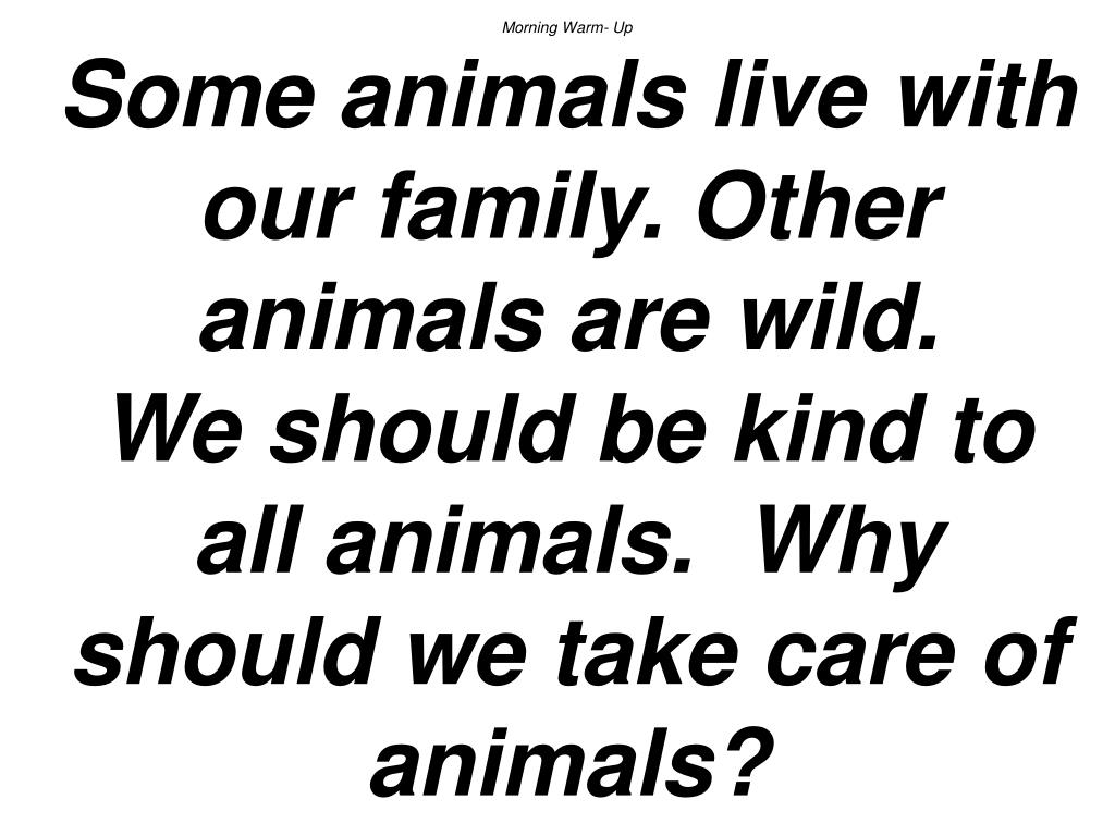 PPT - Morning Warm- Up Some animals live with our family. Other animals are  wild. We should be kind to all animals. Why shou PowerPoint Presentation -  ID:562962