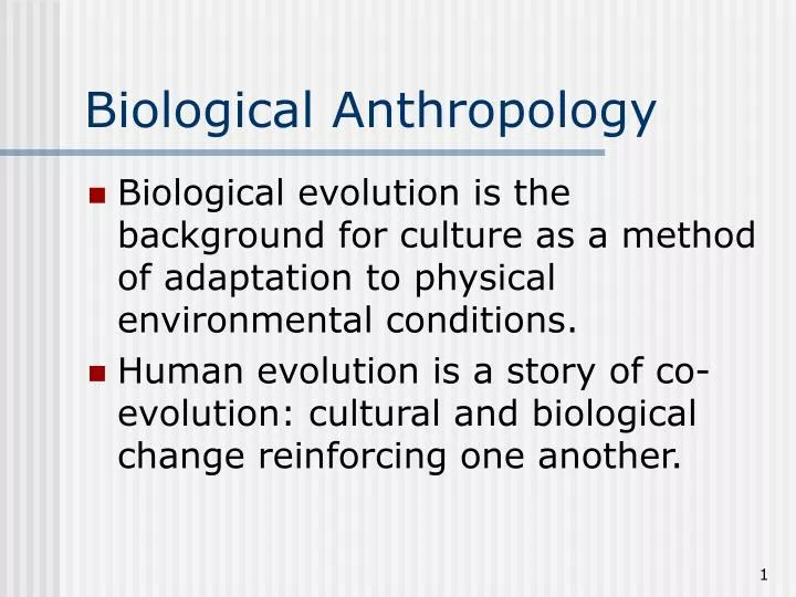biological anthropology n.