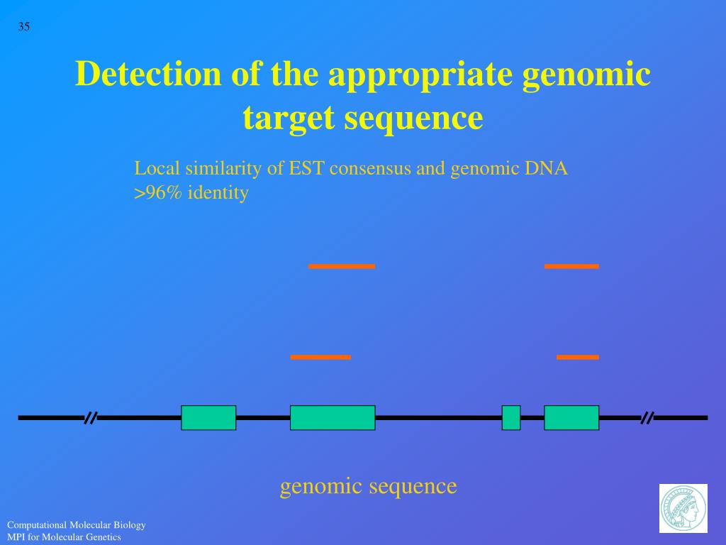 online dna sequence analysis