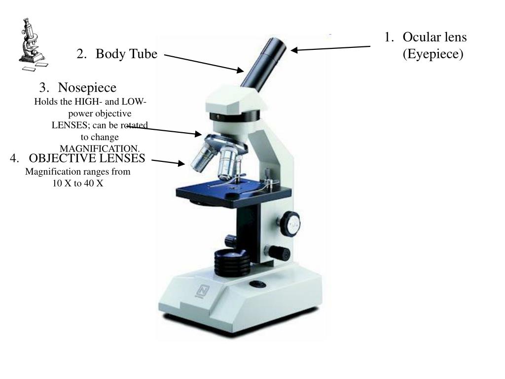 Обида микроскоп. Микроскоп Lamo 1800. Микроскоп Stella OPH. Тринокулярный микроскоп волокна. Микроскоп SS-550.