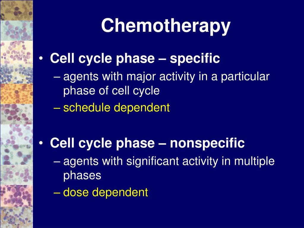 Introduction to Conventional Chemotherapy PowerPoint Presentation Biology Diagrams