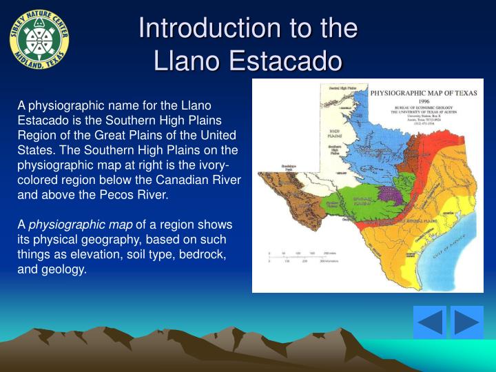 PPT Habitats of the Llano Estacado PowerPoint Presentation ID5659