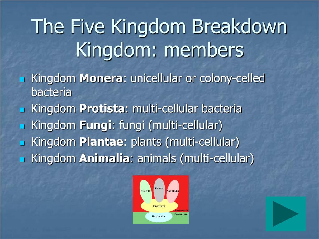PPT - The Five-Kingdom Classification System PowerPoint Presentation, free  download - ID:566657