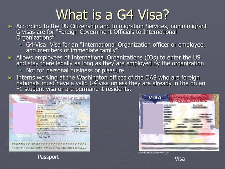 g4 visa travel