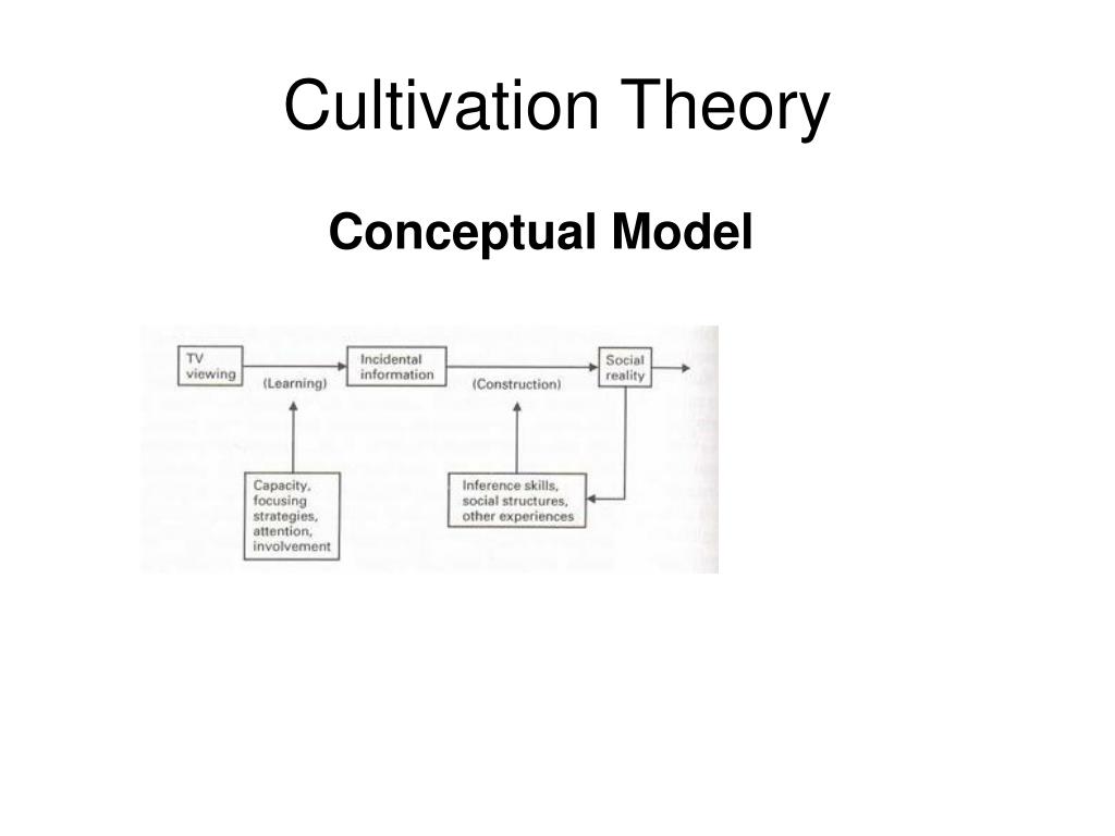 cultivation theory case study