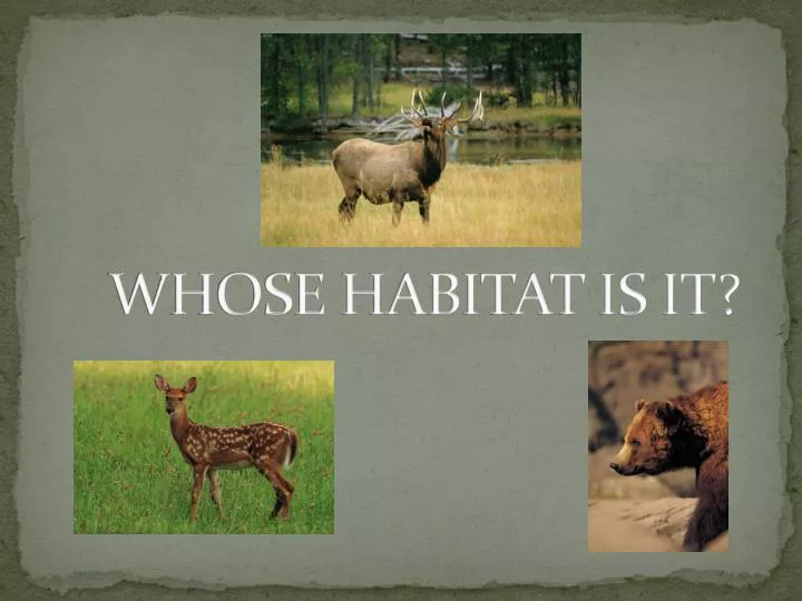 whose habitat is it n.