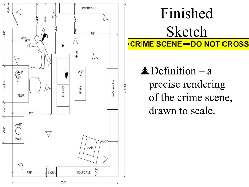 Crime Scene Sketch
