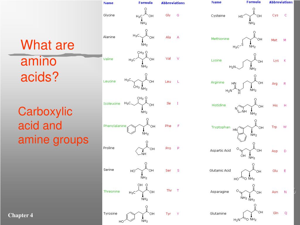 13 аминокислот. Structure 20 Amino acid. Глицин аланин. 20 Amino acids. Amino acids list.