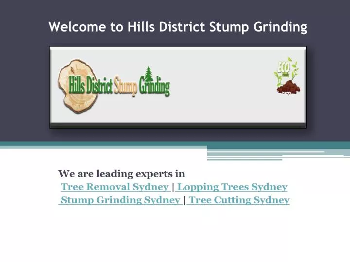welcome to hills district stump grinding n.