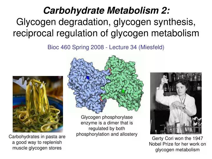 PPT Carbohydrate Metabolism 2 Glycogen degradation, glycogen
