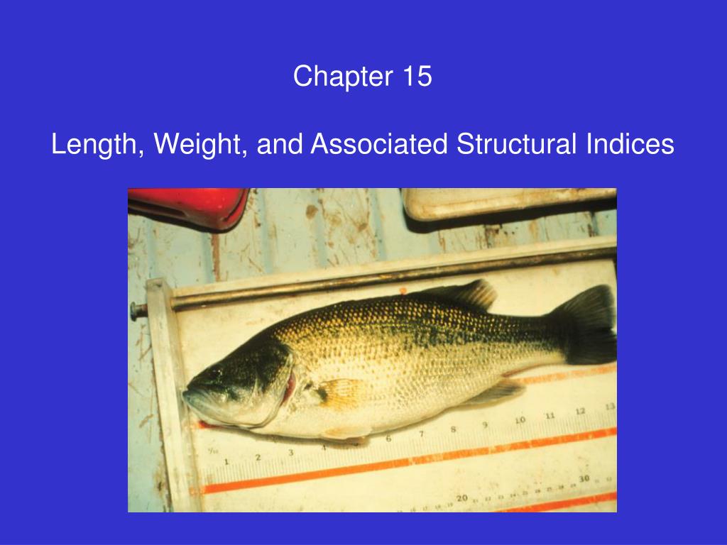 PPT - Chapter 15 Length, Weight, and Associated Structural Indices  PowerPoint Presentation - ID:575364