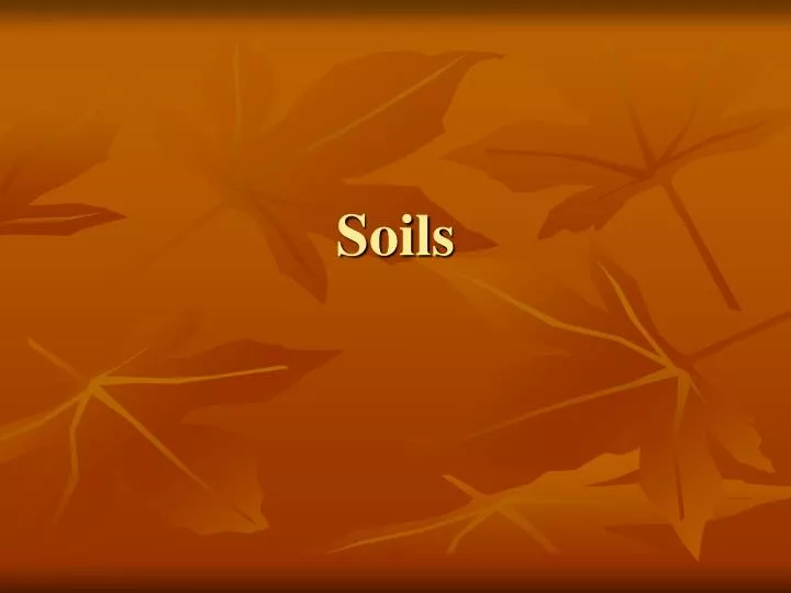 soils n.