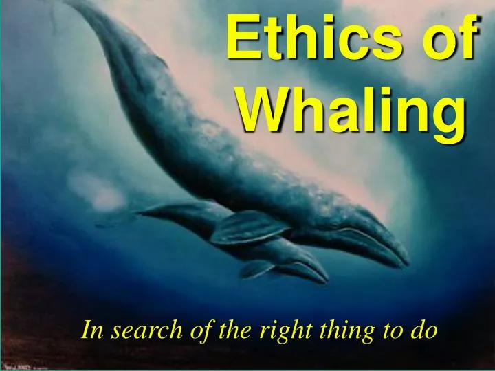 ethics of whaling n.
