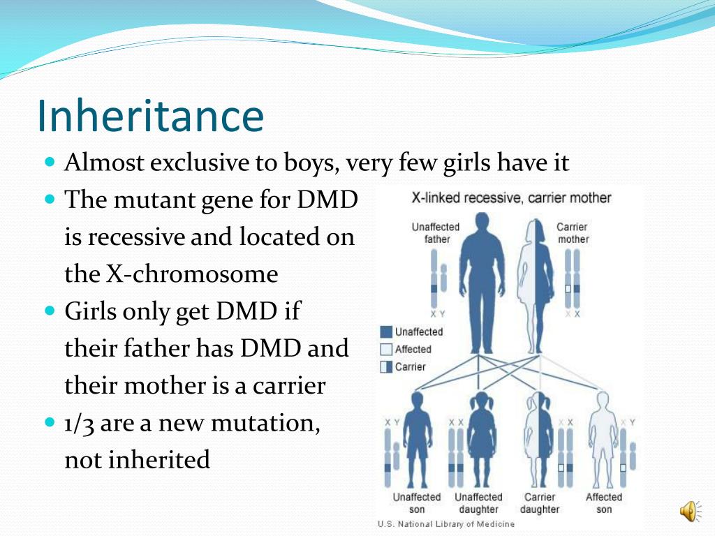 PPT Duchenne Muscular Dystrophy PowerPoint Presentation, free