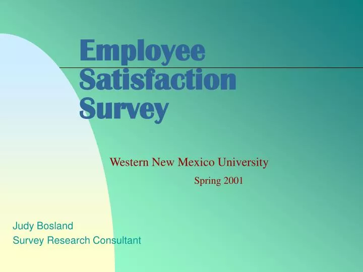 employee satisfaction survey n.