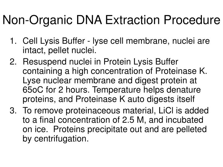 PPT DNA EXTRACTION METHODS PowerPoint Presentation ID578920