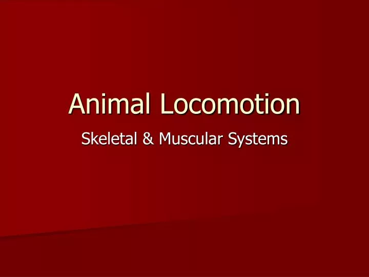 animal locomotion n.