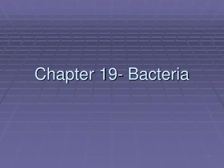 chapter 19 bacteria n.