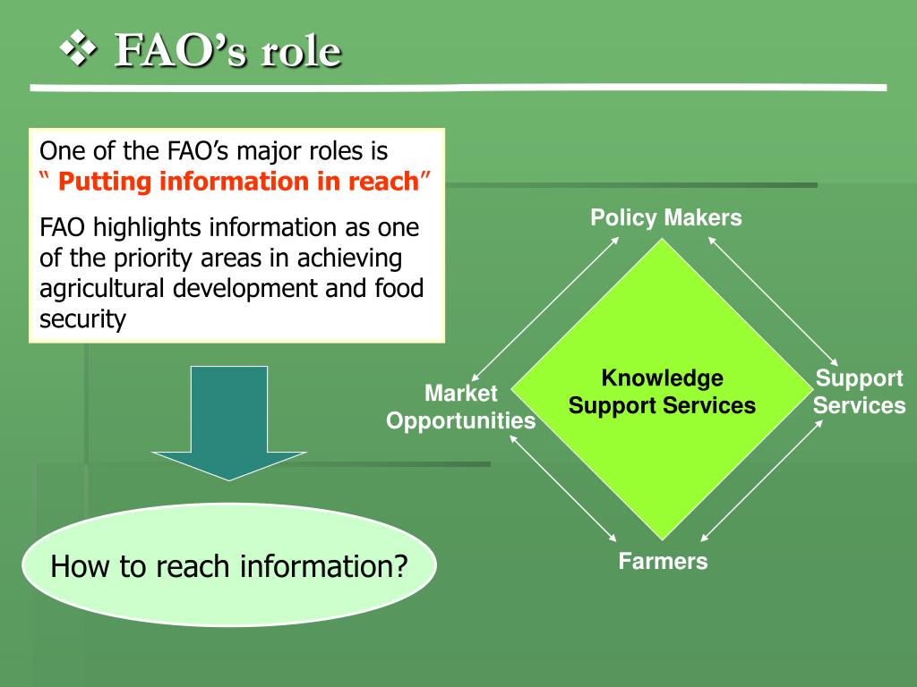 PPT - FAO F OOD AND A GRICULTURE O RGANIZATION OF THE U NITED N ATIONS ...