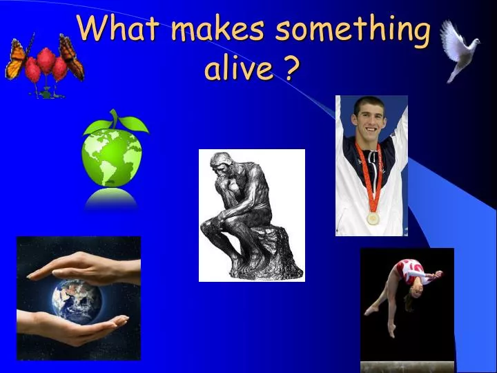 PPT What Makes Something Alive PowerPoint Presentation Free Download ID 583758
