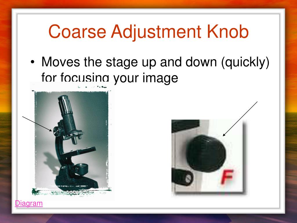 PPT The Microscope PowerPoint Presentation, free download ID584074