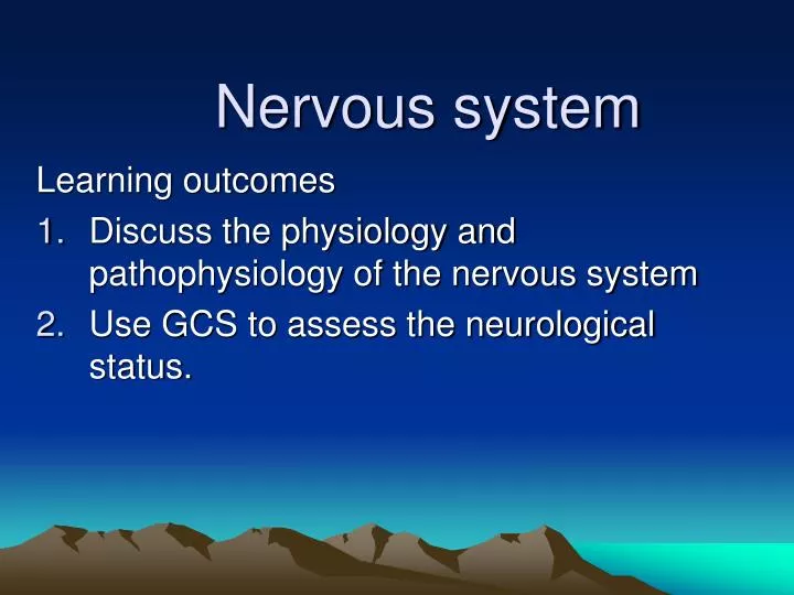 nervous system powerpoint