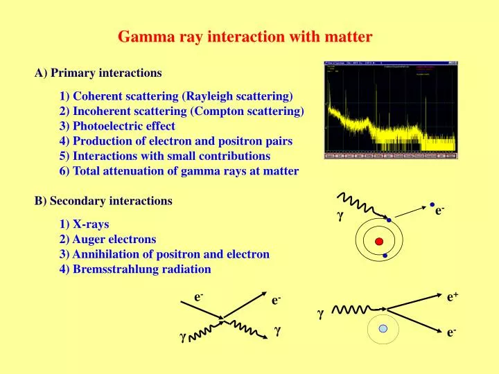 presentation by gamma