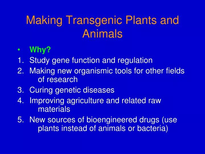 making transgenic plants and animals n.