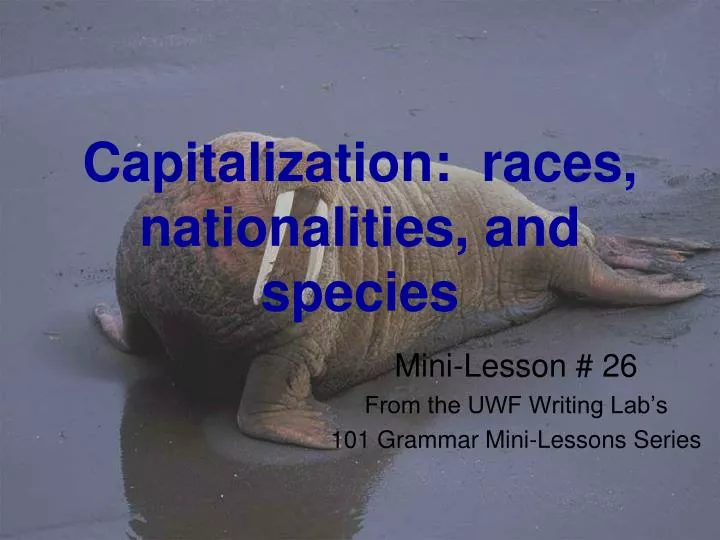 capitalization races nationalities and species n.