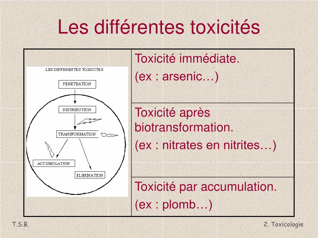 PPT - Toxicologie alimentaire PowerPoint Presentation, free download ...