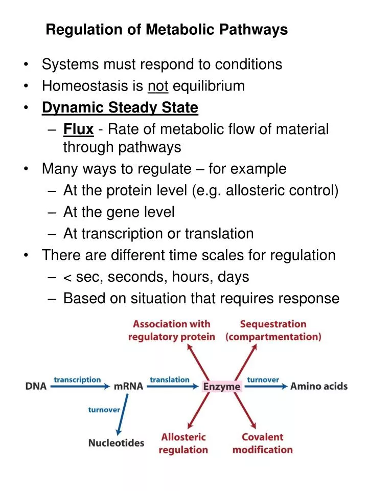 regulation of metabolic pathways n.