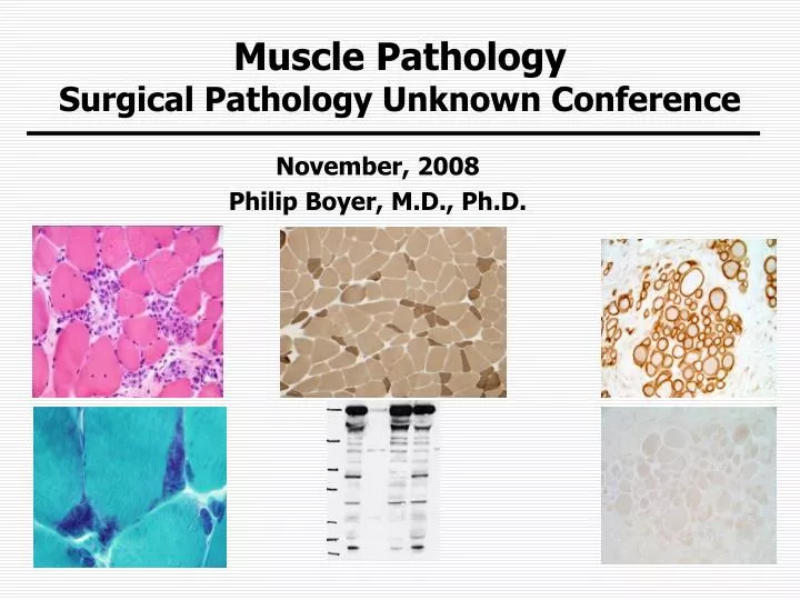 muscle pathology surgical pathology unknown conference n.